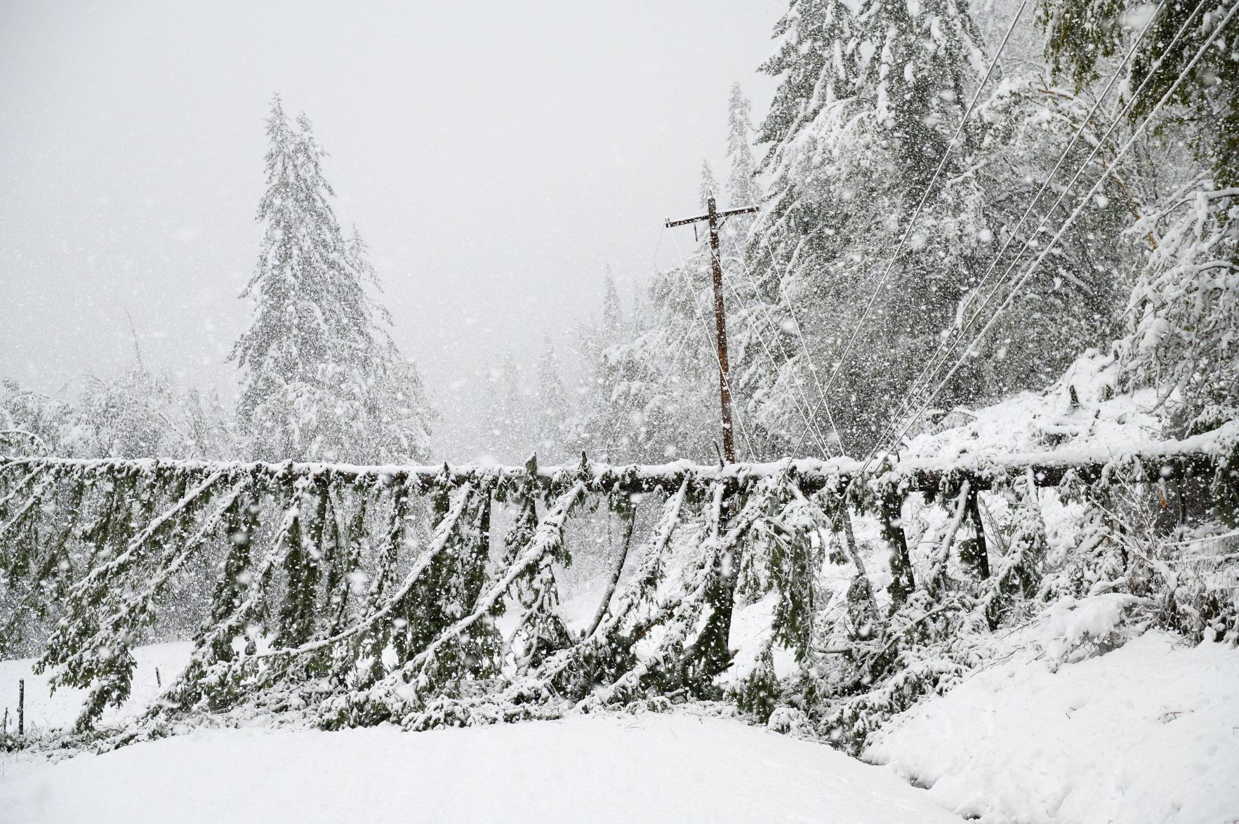 Oregon Snow